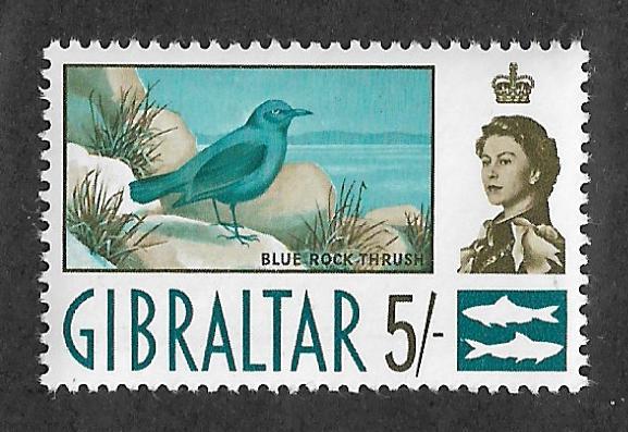 158,MNH