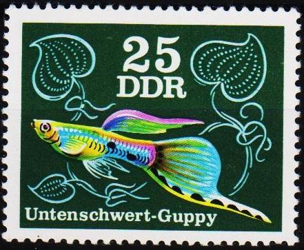 Germany(DDR). 1976 25pf S.G.E1894 Unmounted Mint