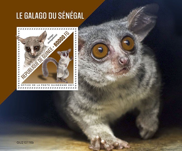 GUINEA - 2021 - Senegal  Bushbaby  - Perf Souv Sheet - Mint Never Hinged