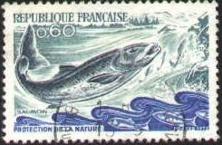 Fish, Salmon, Nature Protecion, France stamp SC#1338 used