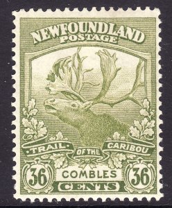 1919 Newfoundland Canada Caribou 36¢ MLMH Sc# 126 CV $37.50 Stk #2