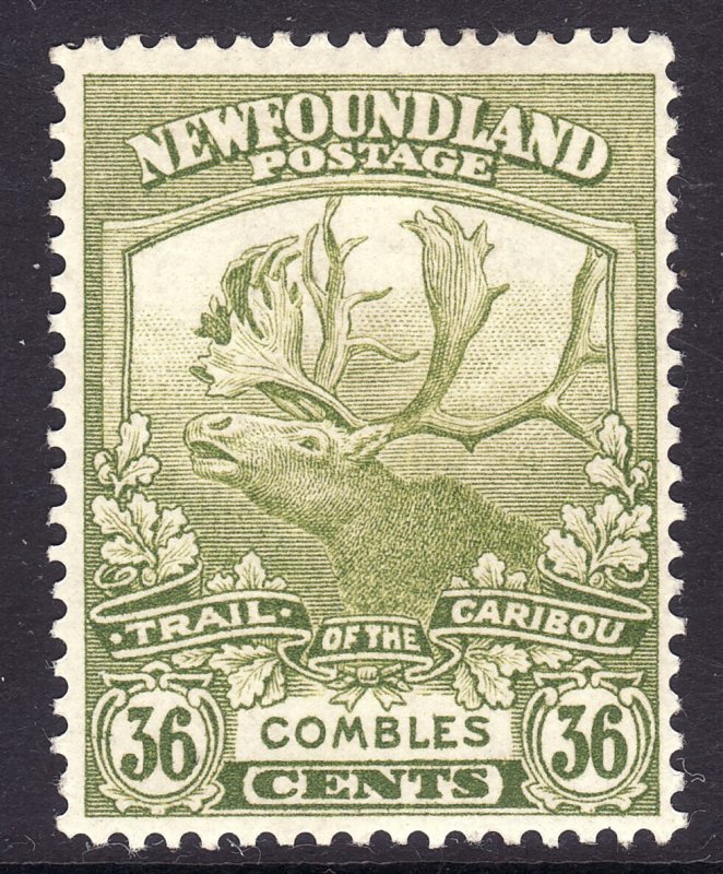 1919 Newfoundland Canada Caribou 36¢ MLMH Sc# 126 CV $37.50 Stk #2