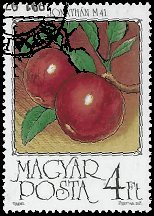 HUNGARY   #3010 USED (3)