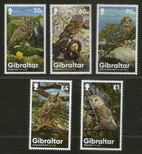 Gibraltar 2020 Birds of Prey Owls Wildlife Animals 5v MNH # 12527A