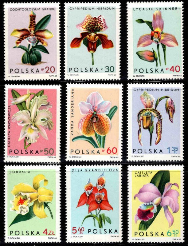 Poland Scott 1346-1354 MNH** Flower stamp set