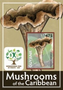 Guyana 2012 - Mushrooms Of The Caribbean - Souvenir Stamp Sheet Scott 4091 - MNH