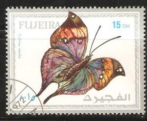 Fujeira 15 DH   Butterfly