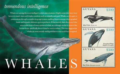 Guyana - 2012 - Whales- Sheet Of 3 - MNH