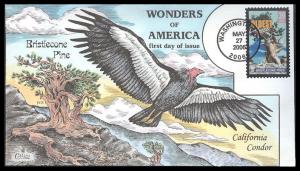 #4049 Bristlecone Pines Collins FDC