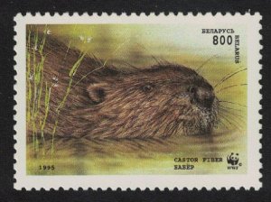 Belarus WWF Beaver swimming 800r 1995 MNH SC#120 SG#122 MI#99