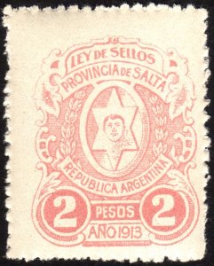 1913, Argentina Salta, 2P, Revenue stamp, MNH