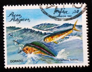 CUBA Sc# 2389  ARCHIPELAGO WILDLIFE marine fish   30c  1981 used cto