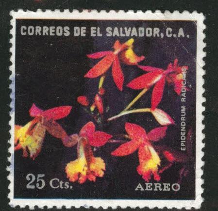 El Salvador Scott C376 Used 1976 Flower airmail