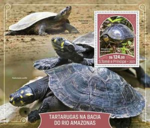 St Thomas - 2021 Amazon Basin Turtles - Stamp Souvenir Sheet - ST210523b