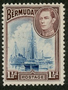 Bermuda 119 Used