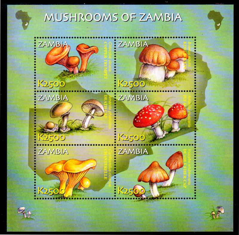 ZAMBIA 989, 991-992, 994 MNH S/S SCV $23.25 BIN $14.00 FLOWERS & MUSHROOMS