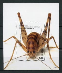 Nevis Insects Stamps 2017 MNH Wild Animals of World Cave Cricket Crickets 1v S/S