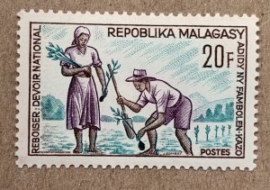 Malagasy 1966 Reforestation, MNH.  Scott 380, CV $0.60