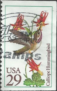 # 2646 USED CALLIOPE HUMMINGBIRD