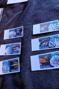 CUBA.SC.#5249.5254-Coral and Fish.SET OF 6 STAMPS.IMPERF.