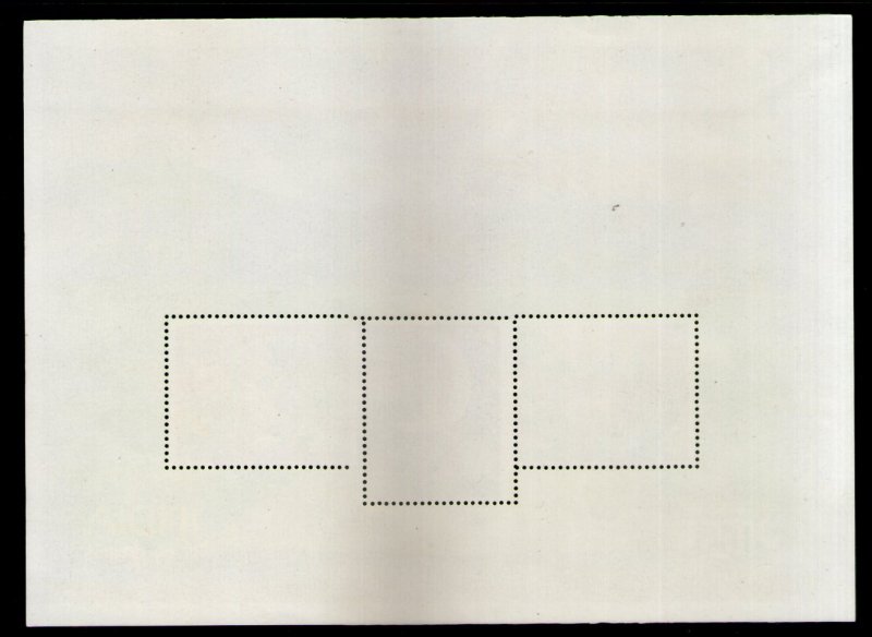 India 2008 Children's Day M/s Error - Perforation Shifted Phila-2404 MNH # 9056