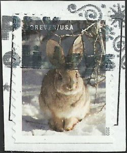 # 5539 Used Winter Scenes