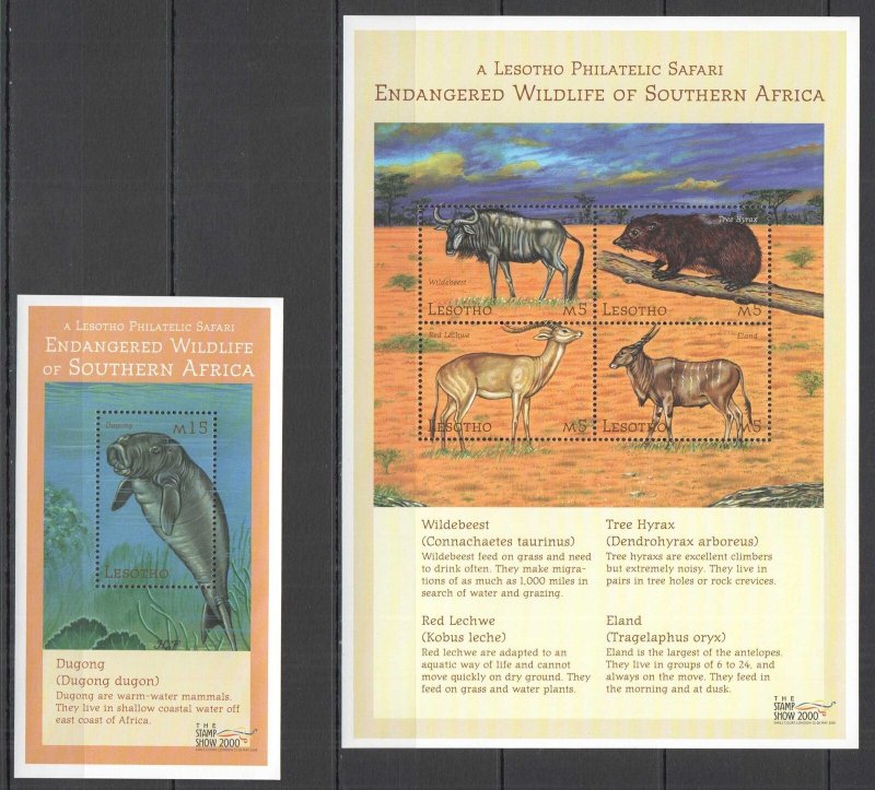 A0470 2000 Lesotho Safari Endangered Wildlife Animals Fauna Bl+Kb Mnh