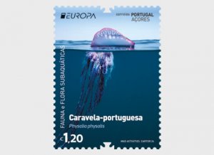 2024 Azores   Portuguese man o’war  Europa (Scott NA) MNH