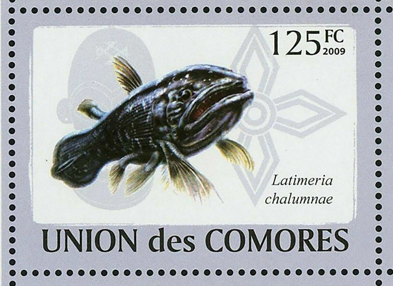 Fish Stamp Latimeria Chalumnae Scorpaena Scrofa Lophius Americanus S/S MNH #2107 