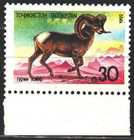 Tajikistan. 1992. 4. Mountain goat, fauna. MVLH.