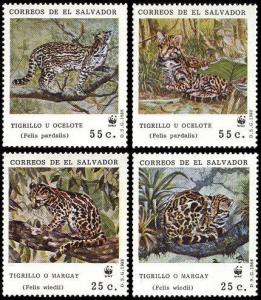 El Salvador WWF Ocelot and Margay 4v SG#2051/54 SC#1194 a-d MI#1734-37