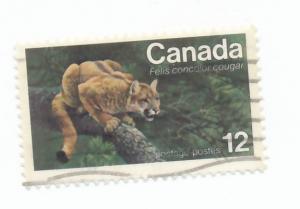 Canada  1977 - Scott 732 used - Wildlife protection, cougar