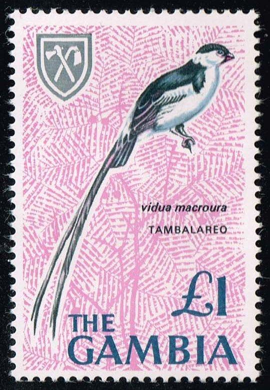 Gambia #227 Pintailed Whydah; MNH (1.00)