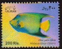 Iran MNH Scott #2985 Fish large size 200 Rial Free Shipping