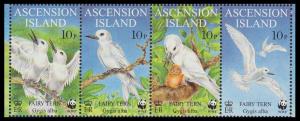 Ascension WWF Fairy Tern Strip of 4v SG#770/73 SC#725-28 MI#786-89