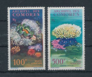 1962 Comoros - Yvert Catalogue no. 5/6 - Marine Fauna and Flora - 2 values - MNH