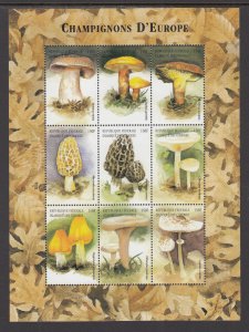 Comoro Islands 918 Mushrooms Souvenir Sheet MNH VF