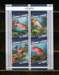 SIERRA LEONE 2018 FISHES SHEET  MINT NEVER HINGED