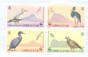 Gibraltar #591-594  Single (Complete Set) (Fauna) (Wildlife) (Wwf)