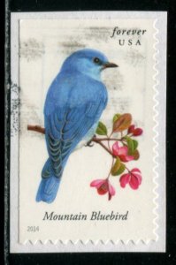 4883 US (49c) Songbirds - Mountain Bluebird SA, used on paper