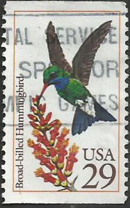 # 2643 USED BROAD BILLED HUMMINGBIRD