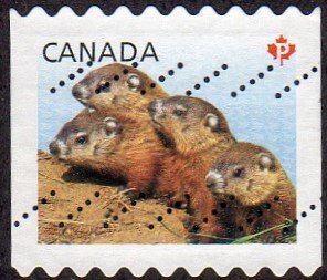 Canada 2603 - Used- (63c) Four Woodchuck Pups (SDC 9.25) (2013) (cv $1.50)