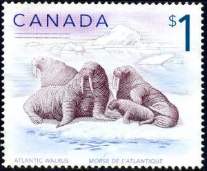 Marine Life, Atlantic Walrus, Canada stamp SC#1689 Used