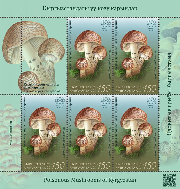 Stamps of Kyrgyzstan 2019. - Minisheet.  124L. Deadly Dapperling.