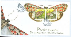 Pitcairn Islands 651a 2007 Butterflies (mini sheet of two stamps) on an unaddressed, cacheted first day cover.