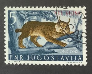 Yugoslavia,  Trieste 1954 Scott 94 used - 5d,  Fauna, Lynx