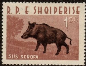 Albania 641 - Mint-H - 1.50L Wild Boar (1962) (cv $2.25)