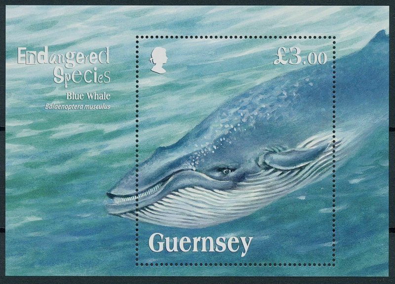 Guernsey 2011 MNH Marine Animals Stamps Blue Whales Endangered Species 1v M/S 