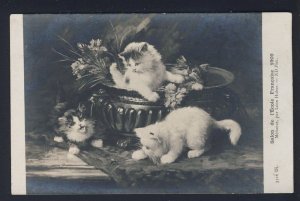 Cat kittens 1909 - Salon Leon Huber - #3316 Dt - RPPC FRANCE postcard