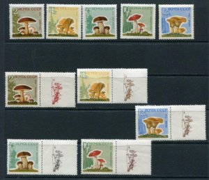 Russia 1964 MNH Mushrooms 7 full sets (6 +1) All combinations /Labels/Tabs.Rare